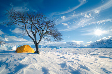 Yellow tent with glacier tree in snowfield and iceberg mountain.