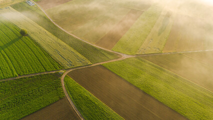 Foggy Sunrise Illuminates Colorful Farmland and Scenic Countryside