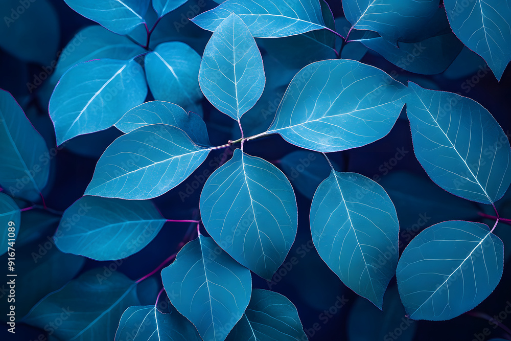 Poster blue plant leaves in the nature in fall season, blue background