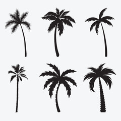 Silhouettes set of palm trees