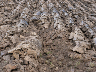 Agricultural land, clay, Zwartwaterland, Overijssel province, The Netherlands