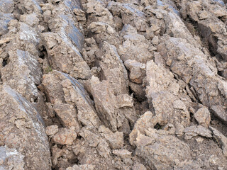 Agricultural land, clay, Zwartwaterland, Overijssel province, The Netherlands