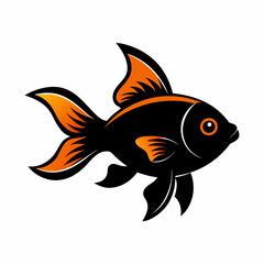 gold fish isolated on white