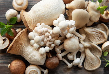Assortment of various  mushrooms