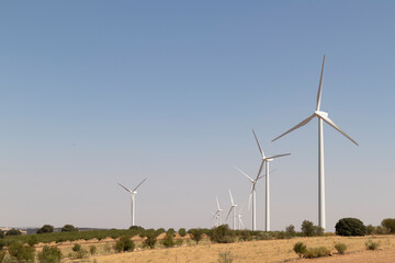 Fototapeta premium Wind turbines in a dry landscape under a clear sky