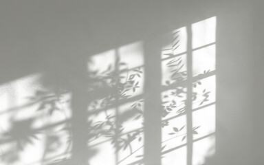 Shadows of leaves cast across a light wall from a window, cut out