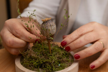  Female hand decorating a miniature floral arrangement