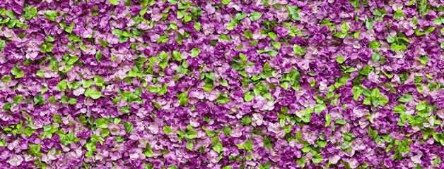 Obraz premium A vibrant wall of pink roses in full bloom creating a lush romantic atmosphere