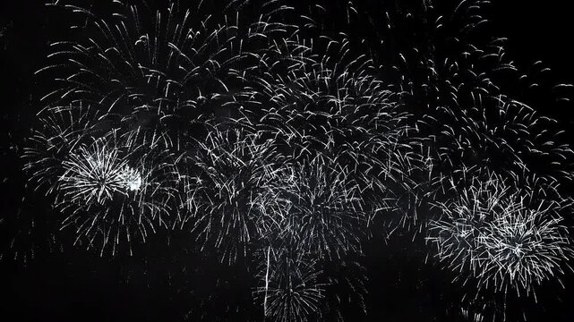 [納涼花火大会] いたばし花火大会