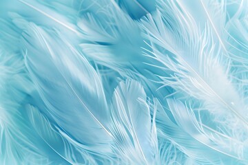 blue feathers background
