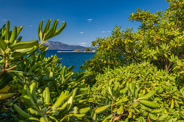 Obraz premium Port in Trpanj, Peljesac Peninsula in Croatia, view of the statue of the Virgin Mary, rough Adriatic sea