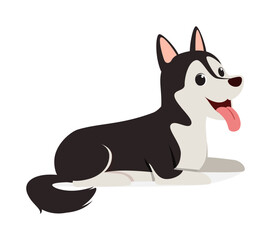 happy cute siberian husky dog with good quality and design