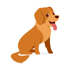 happy cute golden retriever dog with good quality and design