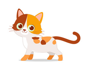 cute little cat with good quality and design