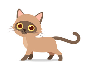 cute little cat with good quality and design