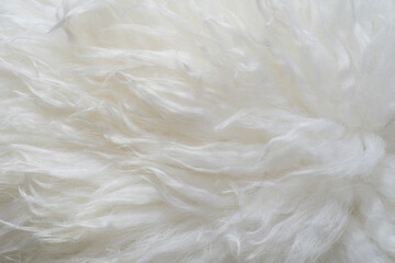 close up of white woolly sheep fleece for background texture