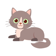 Obraz premium cute little cat with good quality and design