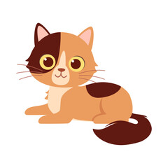 cute little cat with good quality and design