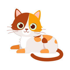 cute little cat with good quality and design