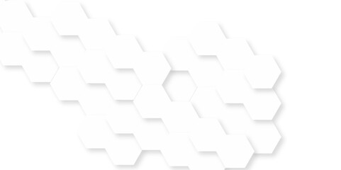Background with hexagons . Abstract background with lines . white texture background . hexagon abstract background. Surface polygon pattern with glowing hexagon paper texture and futuristic business.