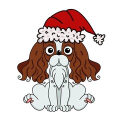 Greeting card. Funny cavalier king charles spaniel dog portrait with a scarf and Christmas hat with snowflakes. For decor, design, print, t-shirt, embroidery