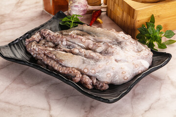 Raw cold octopus for cooking