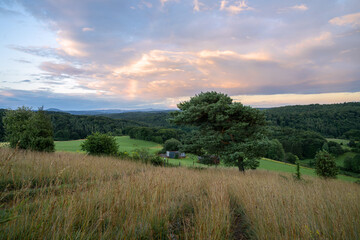 Obraz premium Summer landscape, Eifel close to Blankenheim, North Rhine Westphalia, Germany