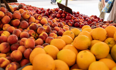 Oranges, peaches, nectarines offerd at the weekly market in Rotterdam. Healthy food, market stall, trader, food, ripe, tasty.