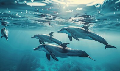 Dolphin pod swimming in clear blue water, playful leaps and sleek bodies, wild animals in their natural habitat