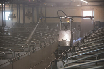 A robot washes a modern pig farm in Denmark
