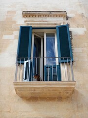A small black and brown dog has poked his head through an iron railing on a balcony in front of open French windows. Blue shutters have been pulled back from the windows. The window is a wall of pale 