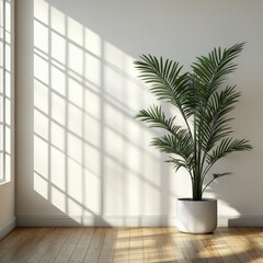 Minimalist Interior Design Elegant White Room Plant