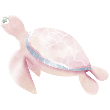 Turtles are swimming to land