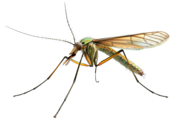 Modern Insect Repellent Isolated On Transparent Background
