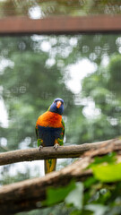 Parc Animalier des Pyrénées