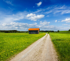 Rural road in summer meadow with wooden shed
