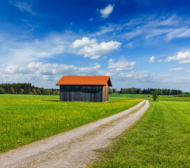 Rural road in summer meadow with wooden shed
