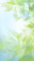 blue sky through green leaves in forest
