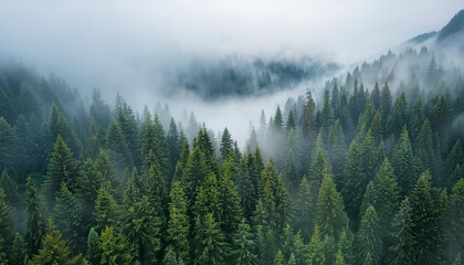 Fototapeta premium Górski krajobraz z mgłami w dolinie, tapeta generative ai 