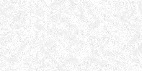 Obraz premium White wave grid stripe line map topography. vector geographic contour mounted map background.