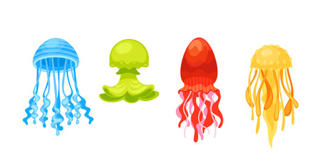 Four jellyfishes with different colors and shapes are swimming underwater in the ocean © Graphic Gurus