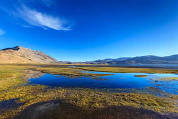 Obraz premium Tso Moriri lake in Himalayas, Ladakh, India