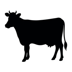 a Dairy Cow vector illustration