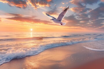 Naklejka premium White seagull are flying above the beach