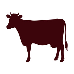 a Dairy Cow vector illustration