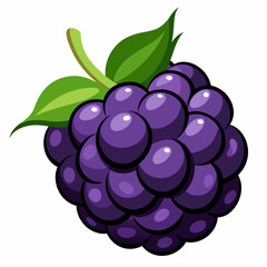 Single Blackberry with Green Leaf Stem