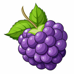 Cartoon Illustration of a Single Ripe Blackberry with Green Leaves