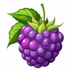 Single Ripe Blackberry with Green Leaves