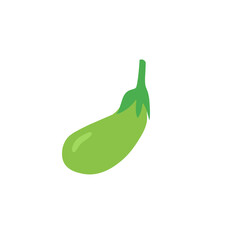 green eggplant vector illustration