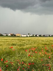 Cloudy sky and houses 